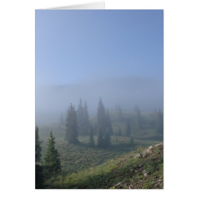 Träumerische Tage (Vorne)