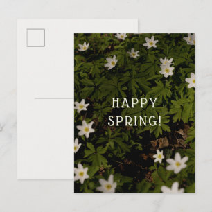 Träumerische und weiche Frühlingsblüten ästhetisch Postkarte