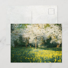Träumerischer Frühlingsobstgarten Postkarte