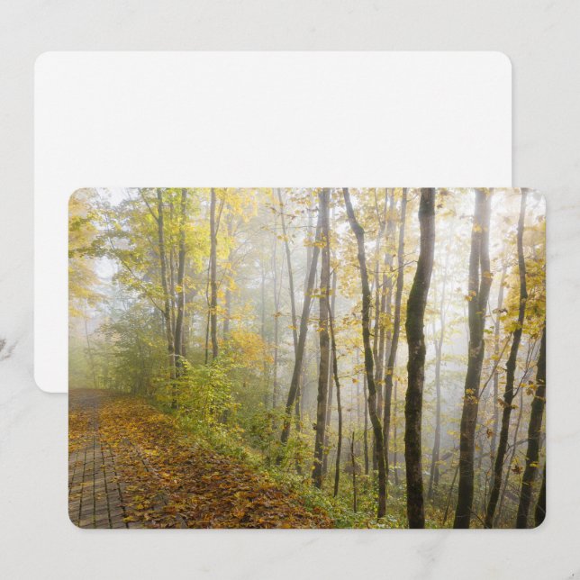 Träumerischer Herbstpark Feiertagskarte (Vorne/Hinten)