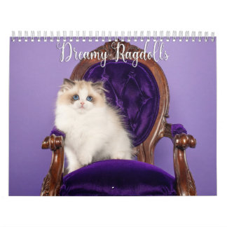 Träumerischer Ragdoll-Katzen und Kätzchen-Kalender Kalender