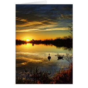 Träumerischer Sonnenuntergang