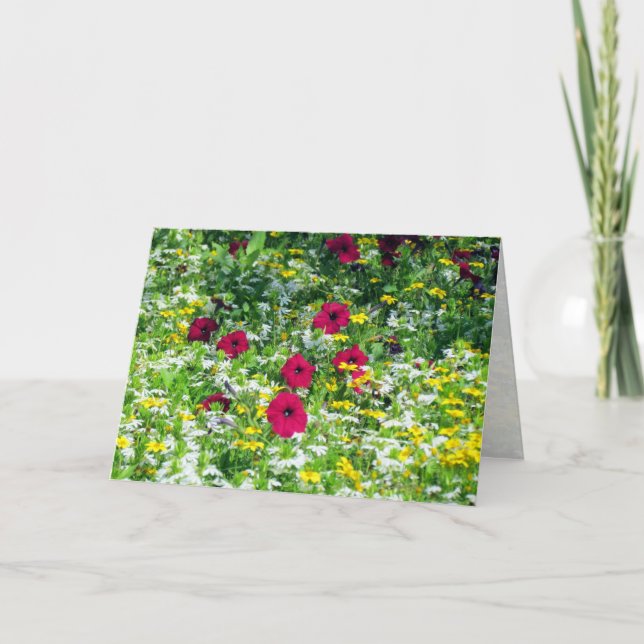 Traumfeld Karte (Vorderseite)