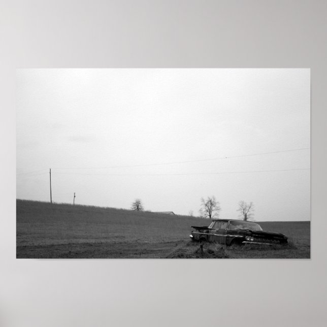 Traumfeld Poster (Vorne)