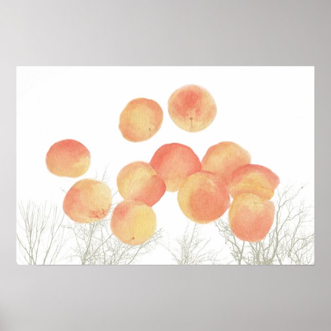 Traumhaft für Aprikosen im Winter Poster (Vorne)