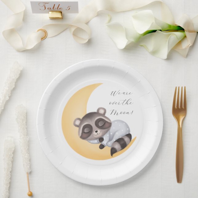 Traumhaft über der Moon Raccoon Baby Dusche Pappteller (Hochzeit)