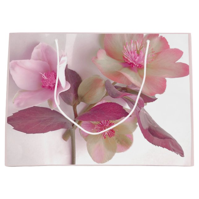 Traumhafte Hellebores Papier Untersetzer Große Geschenktüte (Vorderseite)