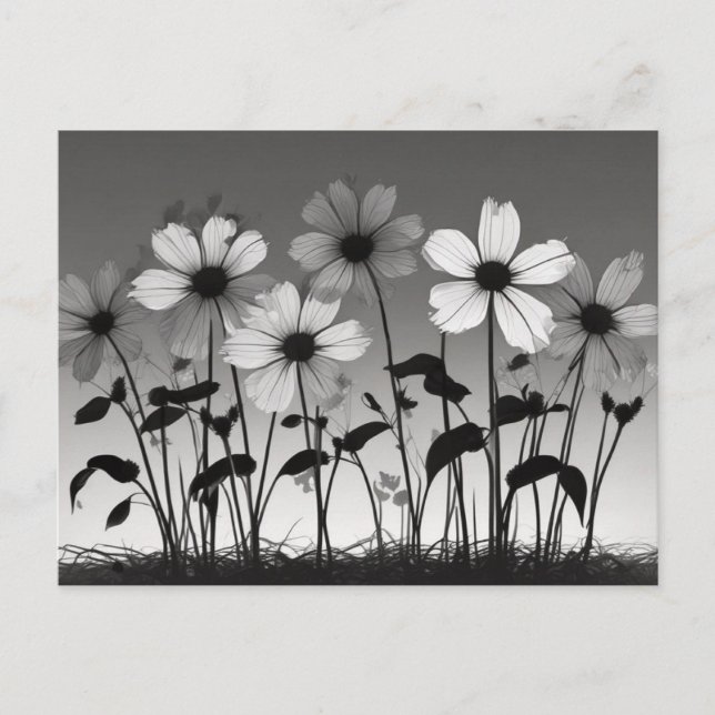 Traumhafte Schwarz-Weiß-Blumen-Schatten Postkarte (Vorderseite)