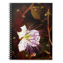 Traumhafte Vintage-Palästina-Kaperblüten-Notizbuch