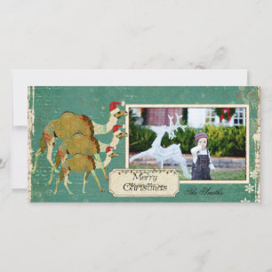 Traumhafte Weihnachts-Postkarte mit Kamelen Feiertagskarte