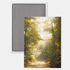 Träumiger Herbstweg, Foto Magnet