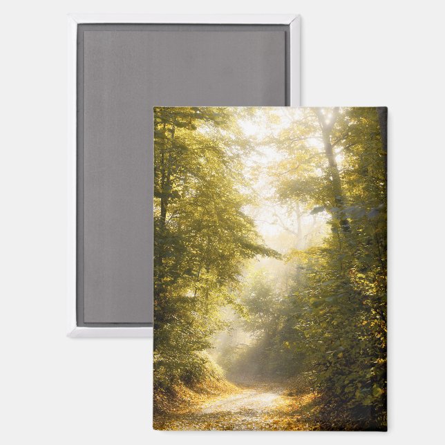 Träumiger Herbstweg, Foto Magnet (Vorderseite/Rückseite)