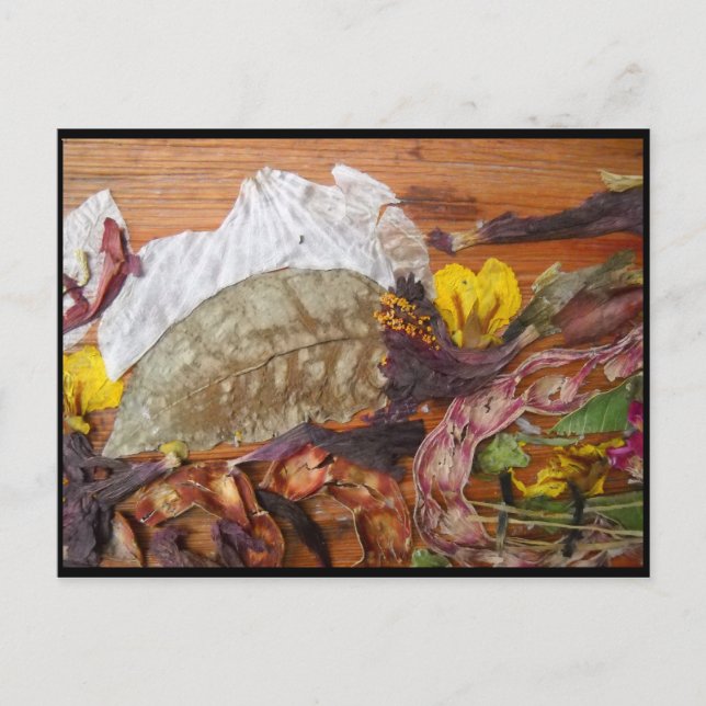 Traumlandschaft Postkarte (Vorderseite)