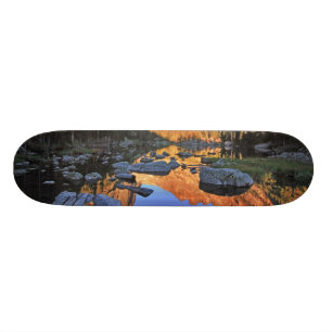 Traumsee Skateboard