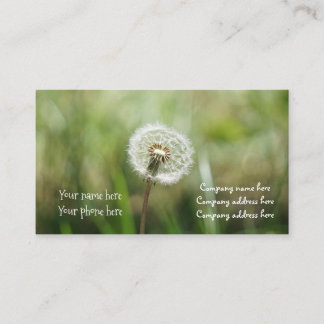 träumt Visitenkarte