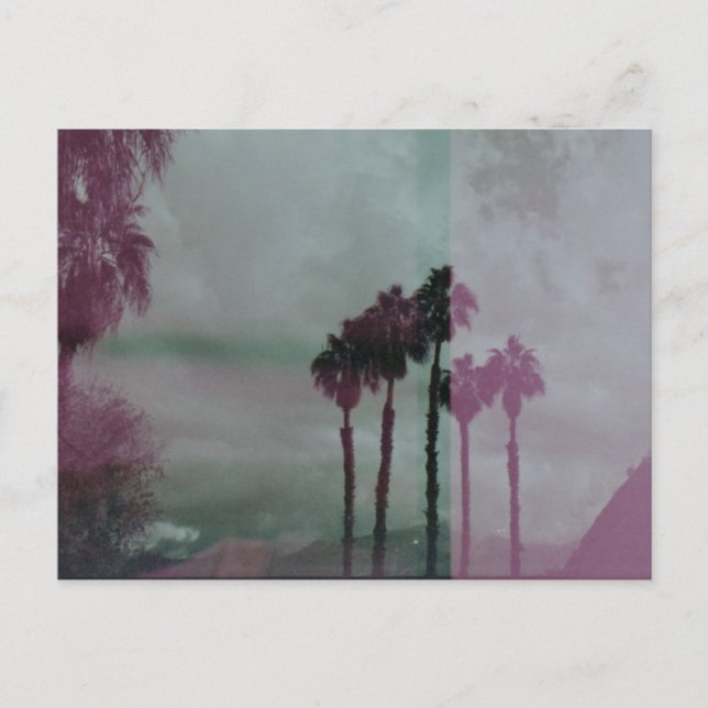 Traumtechniker Palmen Bäume Postkarte (Vorderseite)
