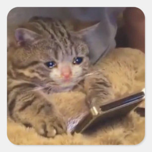 traurige Katze am Telefon Quadratischer Aufkleber