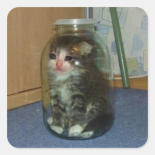 traurige Katze im Glas Quadratischer Aufkleber
