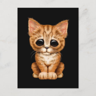 Traurige Niedliche Orange Tabby Kitten Cat Black Postkarte
