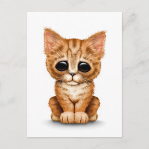 Traurige Niedliche Orange Tabby Kitten Katze auf W Postkarte
