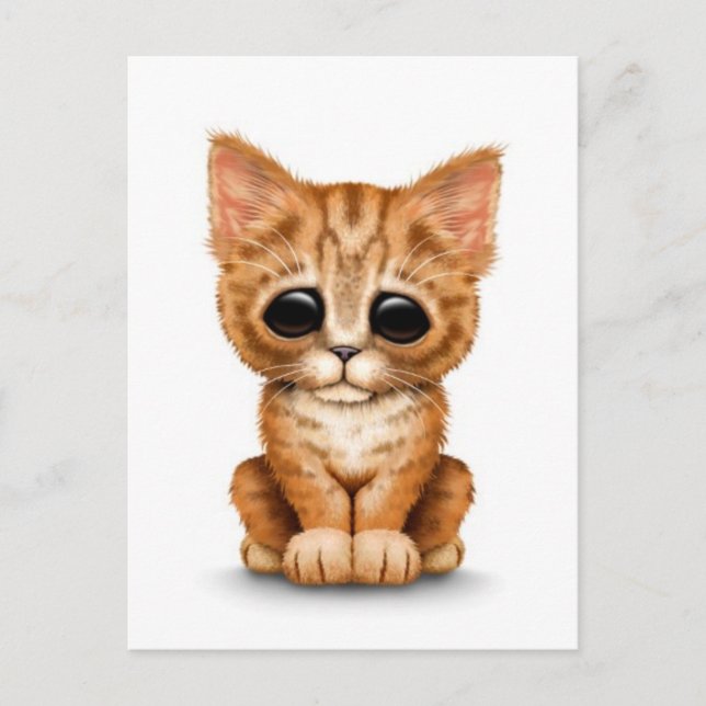 Traurige Niedliche Orange Tabby Kitten Katze auf W Postkarte (Vorderseite)