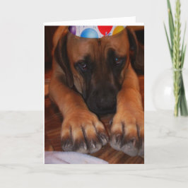 Trauriger englischer Mastiff-tragender Karte
