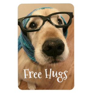 Trauriger golden retriever-Hund mit Gläsern geben Magnet