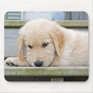 trauriger, goldener Retrippensatz Mousepad