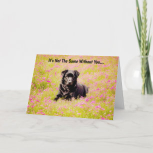 Trauriger Hund im Feld Blume Miss You Card Karte