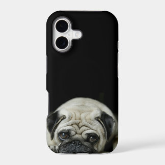trauriger Mops iphone 5 Fall