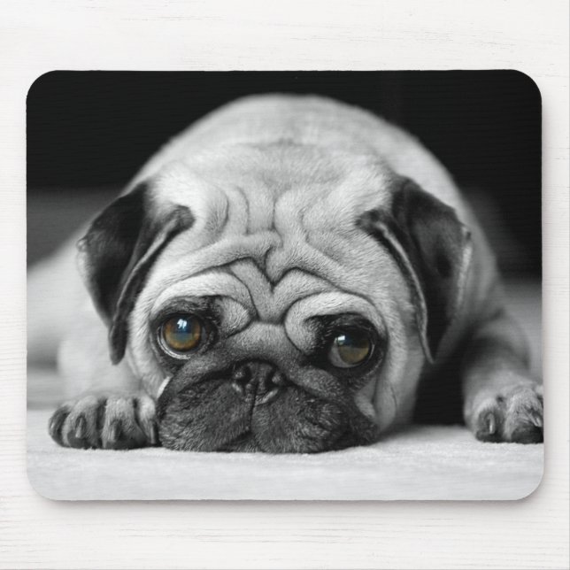 Trauriger Mops Mousepad (Vorne)