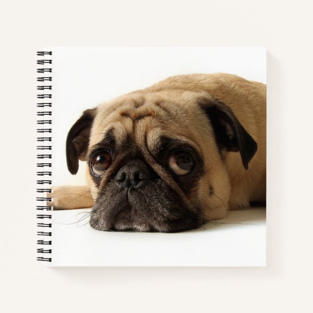 Trauriger Mops Notizbuch (Vorderseite)