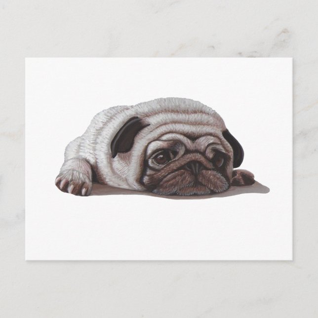 Trauriger Mops Postkarte (Vorderseite)