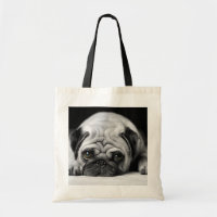 Trauriger Mops