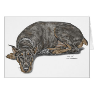 Trauriger schuldiger schauender Dobermann