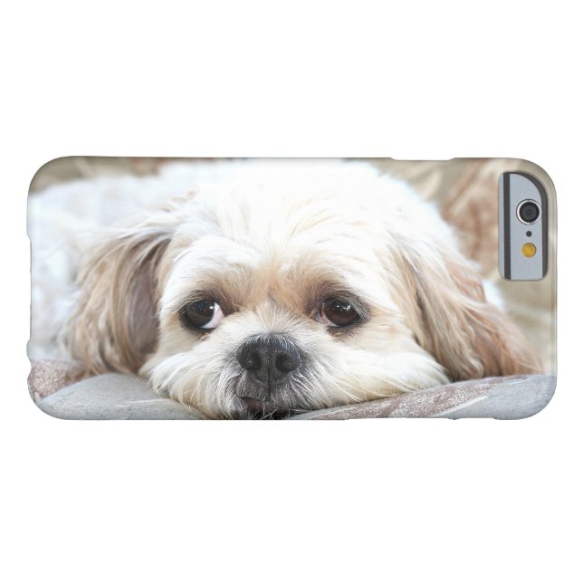 Trauriger Shih Tzu stellen gegenüber Case-Mate iPhone Hülle (Rückseite Horizontal)