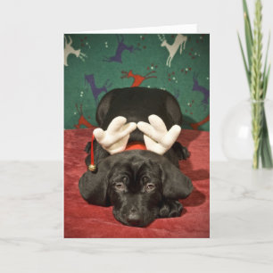 Trauriger Weihnachtswelpe Feiertagskarte