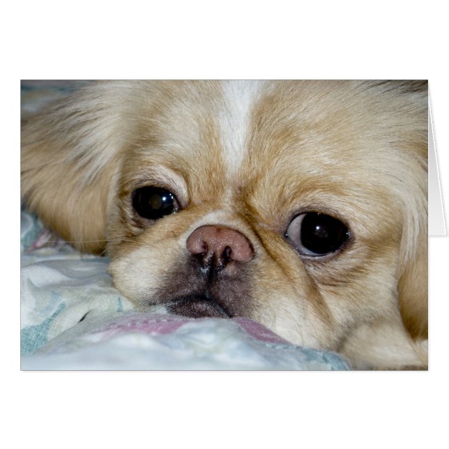 trauriges Gesicht (Vorderseite (Horizontal))