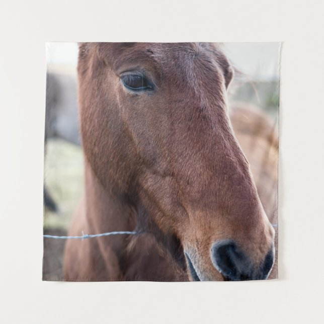 TRAURIGES PFERD WANDTEPPICH (Vorderseite)