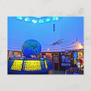 Travel Fotografy Sanibel Island Florida Muscheln Postkarte