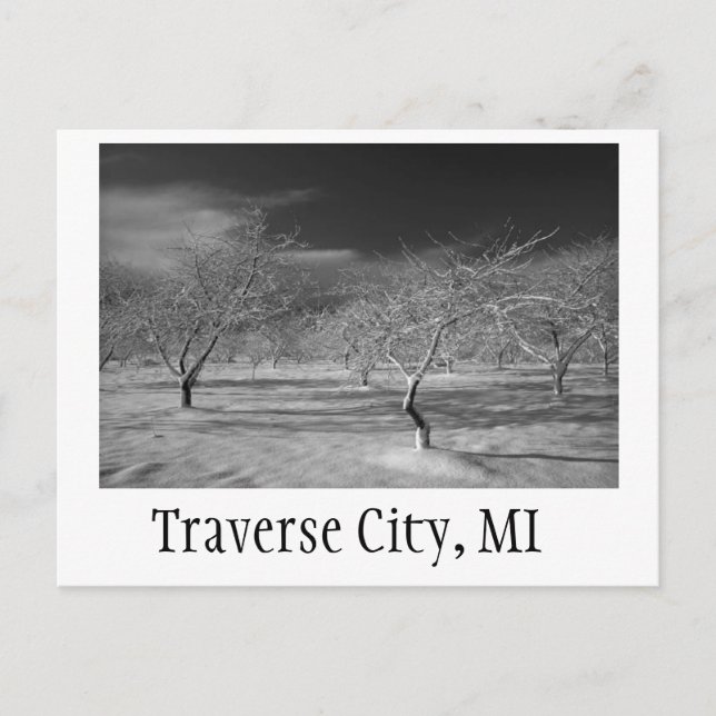 Traverse City Cherry Orchard Postkarte (Vorderseite)
