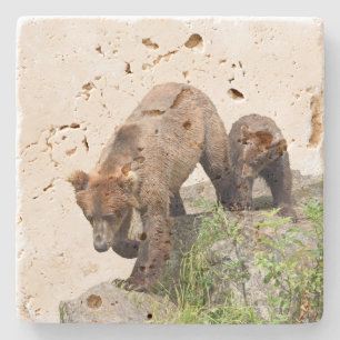 TravertinsteinUntersetzer mit Grizzlybären u. Steinuntersetzer