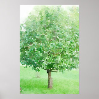 Tree Abstrakte Aquarellfarbe Impressionistische Ma Poster