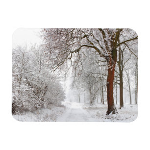 Tree Alley Stupinigi Parc, Italien Magnet