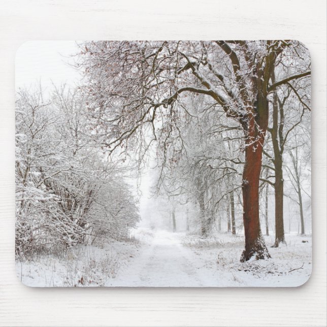 Tree Alley | Stupinigi Parc, Italien Mousepad (Vorne)