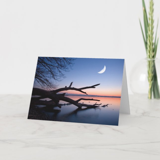 Tree at Starnberg Lake | Muensing Bavaria Germany Karte (Vorderseite)