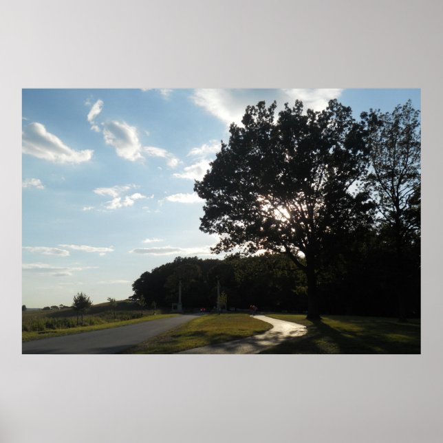Tree at Valley Forge Poster/ Print Poster (Vorne)