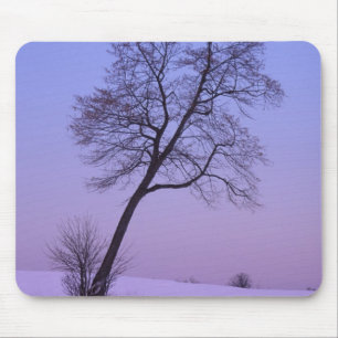 Tree auf dem Schneefeld Chippewa-Landkreis Mousepad