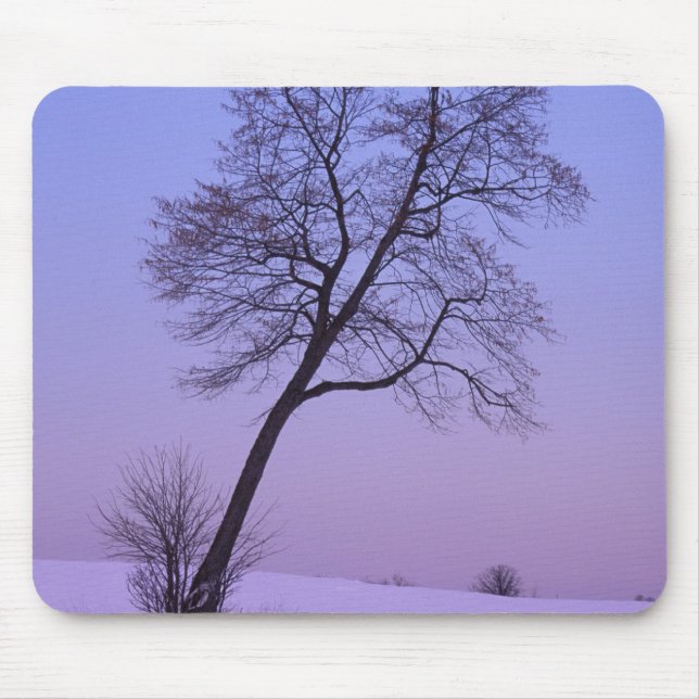 Tree auf dem Schneefeld Chippewa-Landkreis Mousepad (Vorne)