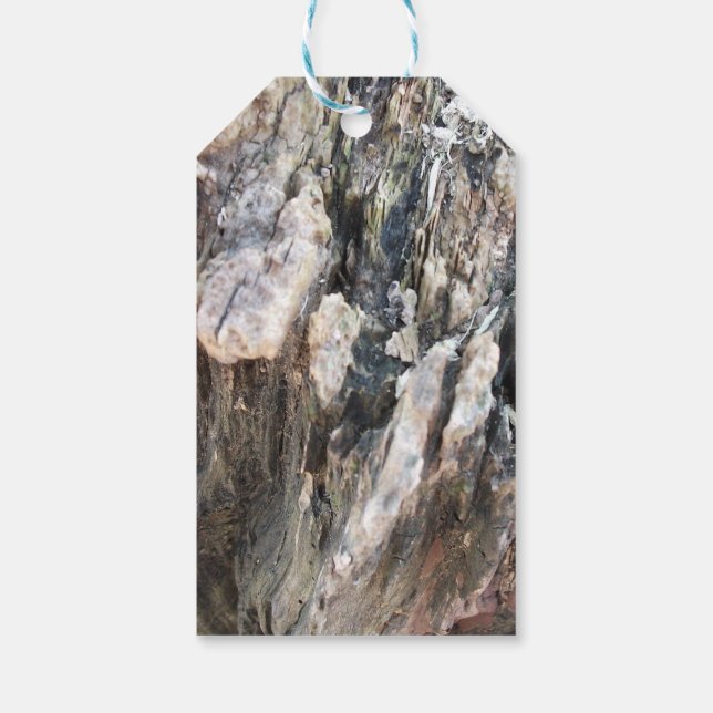Tree Bark Abstrakt Geschenkanhänger (Rückseite)